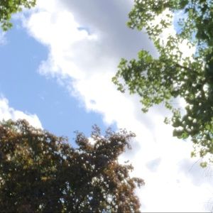 Meet your Posher, Jadalys